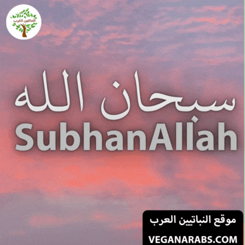 Islam Arabic Language GIF by VeganArabs