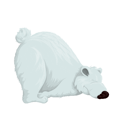 Egor_83 giphyupload соня полярный попрыгун Sticker