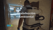 Bio-eco limpieza fumigacion desinfeccion plagas GIF