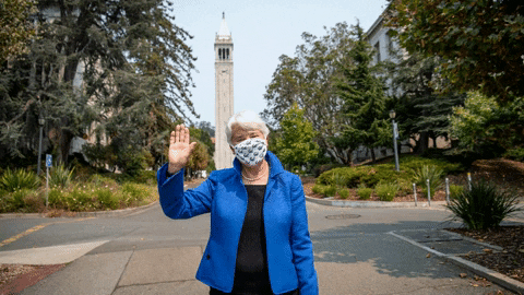 Uc Berkeley GIF by Cal - Find & Share on GIPHY