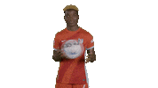 Sport Team Sticker by National Women's Soccer League