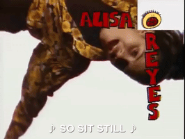 all that nicksplat GIF