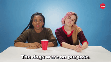 The Dogs Were On Purpose