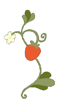 Summer Spring Sticker