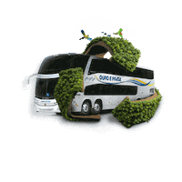 Aniversario Bustravel Sticker by Viação Ouro e Prata