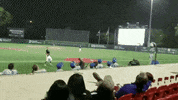 houston cougars GIF by Coogfans