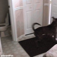 Homecoming GIF