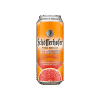 Beer Cerveza Sticker by Pibamour