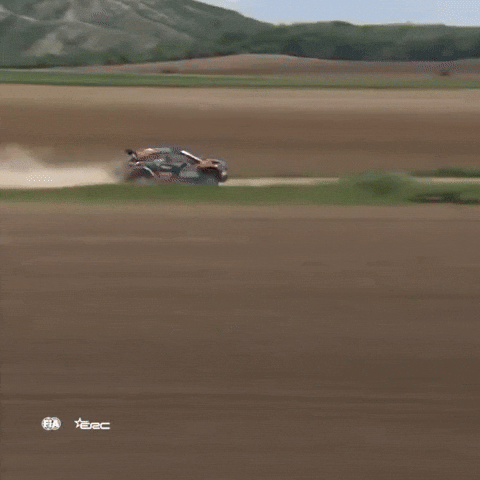 Erc Driving GIF by FIA European Rally Championship