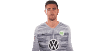 Koen Casteels Soccer Sticker by VfL Wolfsburg