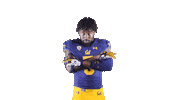 Ncaa Football Go Bears Sticker by Cal Athletics