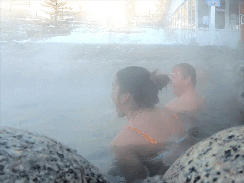 alexreynolds0b97 giphygifmaker GIF