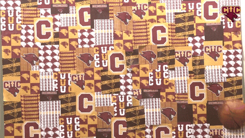 Cuc GIF by CUCougars