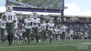 football athletics GIF by GreenWave