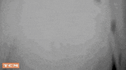 Deborah Kerr Halloween GIF by Turner Classic Movies