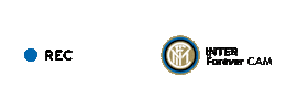 Serie A Sport Sticker by Inter