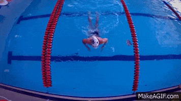 skillsnt giphyupload GIF