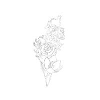 Som7 palestine فلسطين mosque aqsa Sticker