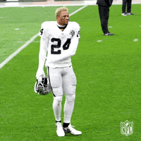 Happy Las Vegas Raiders GIF by NFL
