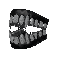 Sc Tc Sticker by Temple Caché