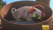 Dog What GIF by TeamTO