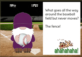 Baseball Gnome GIF
