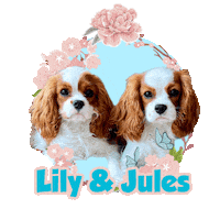 Cavaliers Peony Sticker by Pimp Yo Pets