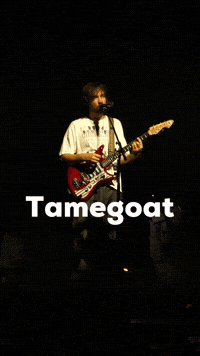 Tame Impala Singing GIF