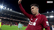 premier league love GIF by Liverpool FC