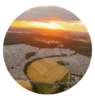 NatureOne dance music fun nature Sticker