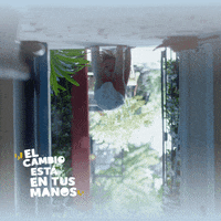 Inclusion GIF by Babysec