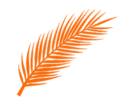 Palm Leaf Fan Sticker by Jungle Social