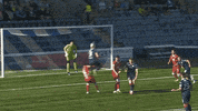 Goalkeeper Save GIF by Dunfermline Athletic Football Club