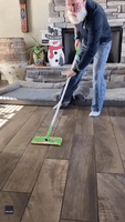 Whimsical Texas Man Pays Tribute to Olympic Curling With Roomba and Swiffer