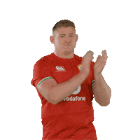 British And Irish Lions Sticker by VodafoneUK