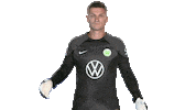Pavao Pervan Win Sticker by VfL Wolfsburg