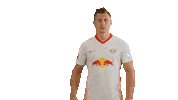 Goal Tor Sticker by RB Leipzig
