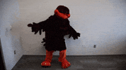 Punch Kick GIF by Virginia Tech