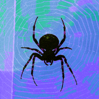 Black Widow Halloween GIF by patternbase