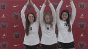 Volleyball Wildcats GIF by CWU Athletics