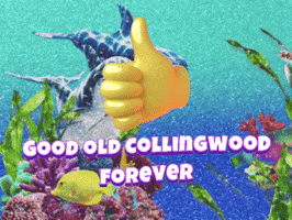 Good old Collingwood forever