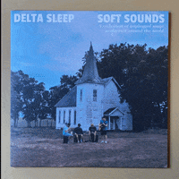 Playing Bass Texas GIF by bsmrocks