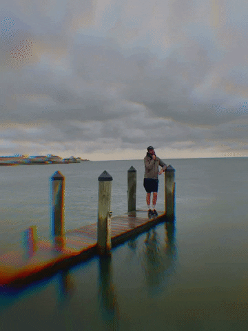 GIF by Johanna Healy