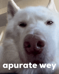 Speed It Up Hurry GIF