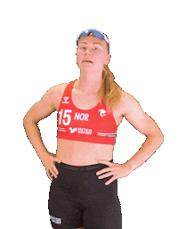 Norway Beachhandball Sticker by Norges Håndballforbund