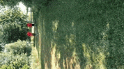 svww_official running ball spass wasser GIF