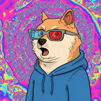 Shiba Inu Wow GIF by Doge Pound