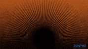 Fitness Health GIF by RENPHO