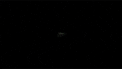 Art Visuals GIF by MyxedUp