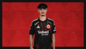 Eintracht Frankfurt Football GIF by Bundesliga